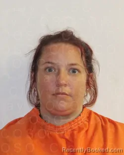 Mugshot of HALEY DAWN GEHRING