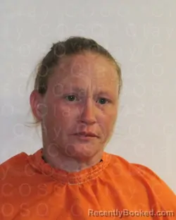 Mugshot of AMBER NICOLE EGENBACHER