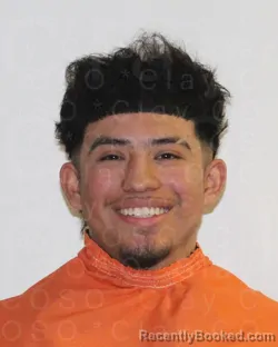 Mugshot of BRYAN MARTINEZ