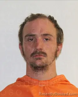 Mugshot of BOBBY RAY WALKER