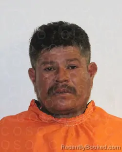 Mugshot of JUAN ENRIQUE PEREZ