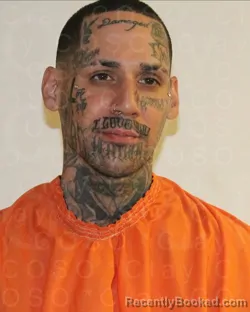 Mugshot of MICHAEL JOSEPH ACOSTA