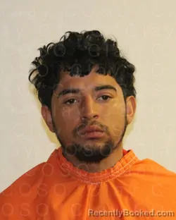 Mugshot of HECTOR FERNANDO VALLE RAUDALES