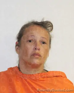 Mugshot of ERIKA LOUISE TOWERY