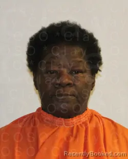 Mugshot of BARBARA ANN FARROW booked in Clay County, Texas on March 23, 2026