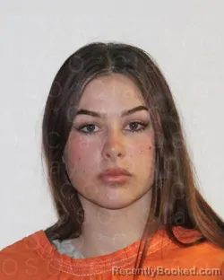 Mugshot of HEATHER MICHELLE DAVIS booked in Clay County, Texas on March 26, 2026