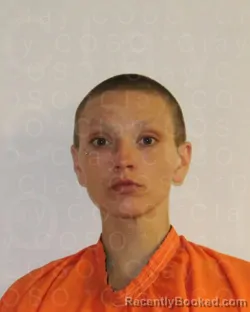 Mugshot of RILEY SAGE WEISS booked in Clay County, Texas on March 29, 2026