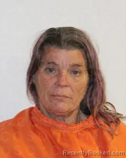 Mugshot of TAMMY LORAINE WILSON booked in Clay County, Texas on March 30, 2026