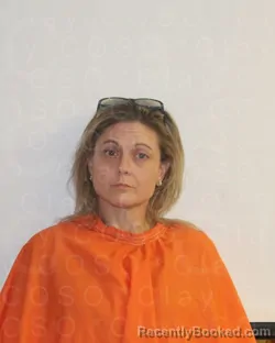 Mugshot of SHERRIE LYNN ARNETT booked in Clay County, Texas on April 3, 2026