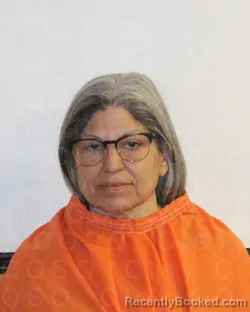 Mugshot of TERRY SUE THRASHER booked in Clay County, Texas on April 25, 2026