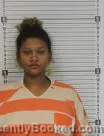 Mugshot of Alysia Leigh Jenkins booked in Williams County, North Dakota on September 29, 2026