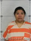 Mugshot of Charlotte Ann Teresa Purley booked in Williams County, North Dakota on August 29, 2026