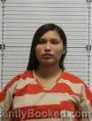 Mugshot of DEMYA LIZOTTE booked in Williams County, North Dakota on June 9, 2026