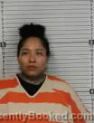 Mugshot of Gina Rene Richards booked in Williams County, North Dakota on August 9, 2026