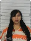 Mugshot of Sidney Dawn Huntsalong booked in Williams County, North Dakota on October 17, 2026