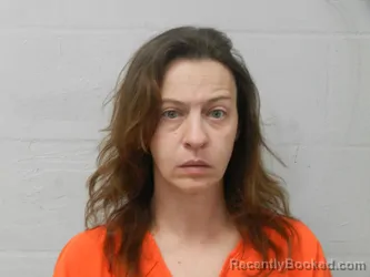 Mugshot of BRANDY MICHELLE SNODGRASS