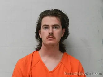 Mugshot of MARK HERNDON