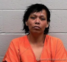 Mugshot of RANDI LYNN BROOKS