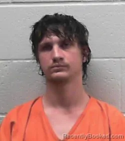 Mugshot of TRAVIS ALLEN GILLESPIE