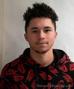 Mugshot of STEFAN ASHTON WALKER