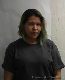 Mugshot of LASHONDA CHEYENNE RENE SANKEY booked in Blaine County, Oklahoma on March 25, 2026