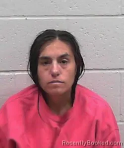 Mugshot of CORRENZA ROSE BRISCOE booked in Blaine County, Oklahoma on April 8, 2026