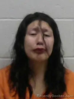 Mugshot of ALLISYN LITTLEYELLOWMAN booked in Blaine County, Oklahoma on April 12, 2026