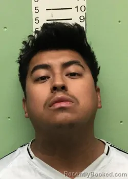 Mugshot of MISAEL GONZALEZ