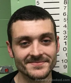 Mugshot of WILL RAY JR. RITCHIE