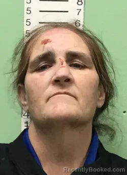 Mugshot of CHARLET RAY SNODGRASS