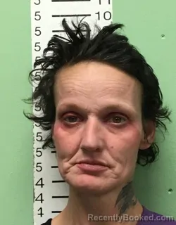 Mugshot of JAIME FLORES