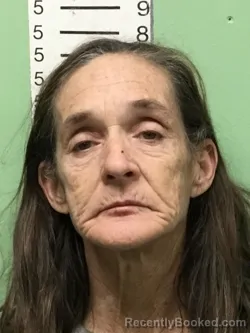 Mugshot of SHANNON REGINA POSEY