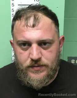 Mugshot of DENIS BREGASI