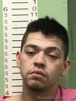 Mugshot of JESUS ISRAEL CASTANON RIVERA