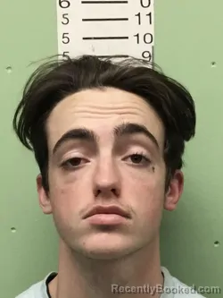 Mugshot of RAYDIN DAVID BRANTLEY