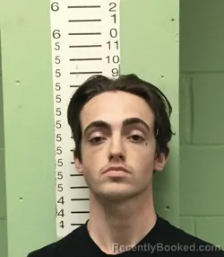 Mugshot of RAYDIN DAVID BRANTLEY