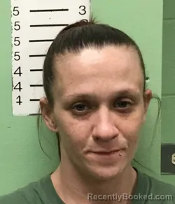 Mugshot of TAMARA DAWN WIGINGTON
