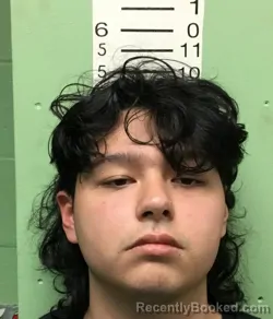 Mugshot of VICTOR MANUEL MENDOZA