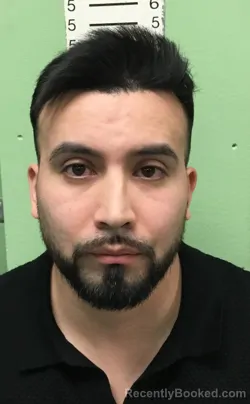 Mugshot of DAVID LOPEZ