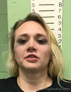 Mugshot of BREANN LYNN LEHEW