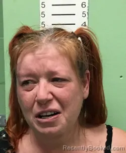 Mugshot of SARAH LYNN ST JOHN