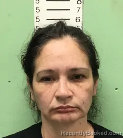 Mugshot of LOU ANN HAMILTON