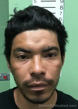 Mugshot of BRAYAN ALEXANDER GUZMAN DOMINGUEZ