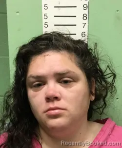 Mugshot of LINDSAY LOUENN ALEXANDER booked in Bryan County, Oklahoma on March 11, 2026