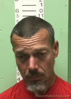 Mugshot of DAVID RAY HERRING