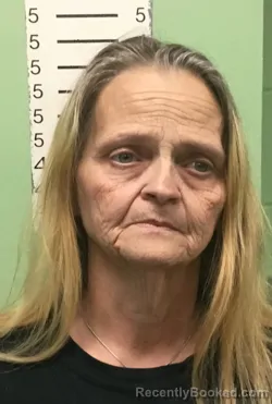 Mugshot of JANET LYNN PIPKIN