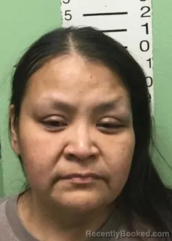 Mugshot of ROBIN ANETTE JOHNSON