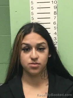 Mugshot of LAYLA ALI