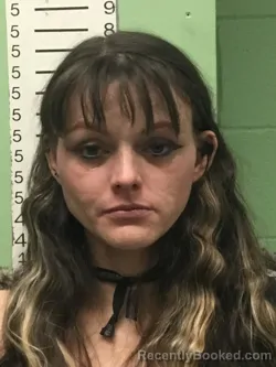 Mugshot of MIKELL DEANN WALLACE booked in Bryan County, Oklahoma on March 18, 2026