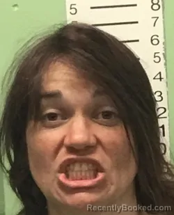 Mugshot of LAINEY ALEXANDRIA - VICTORIA MARTIN booked in Bryan County, Oklahoma on March 24, 2026